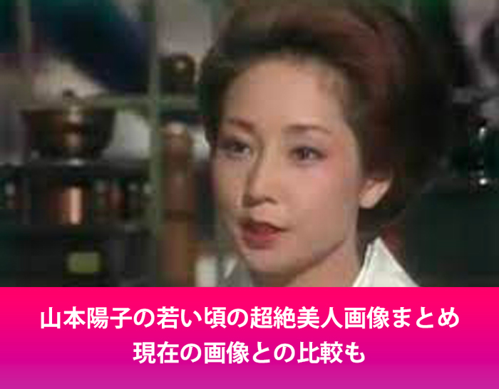 山本陽子 女優　お宝 